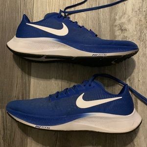 Nike Air Zoom Pegasus